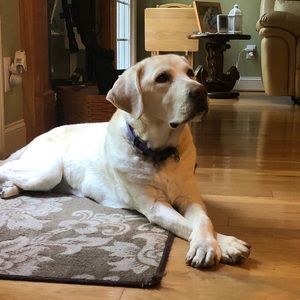 Meet your Posher, John